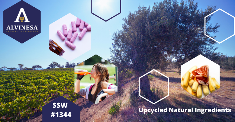 Upcycled treasures: Health benefits of polyphenols in grape and olive extracts